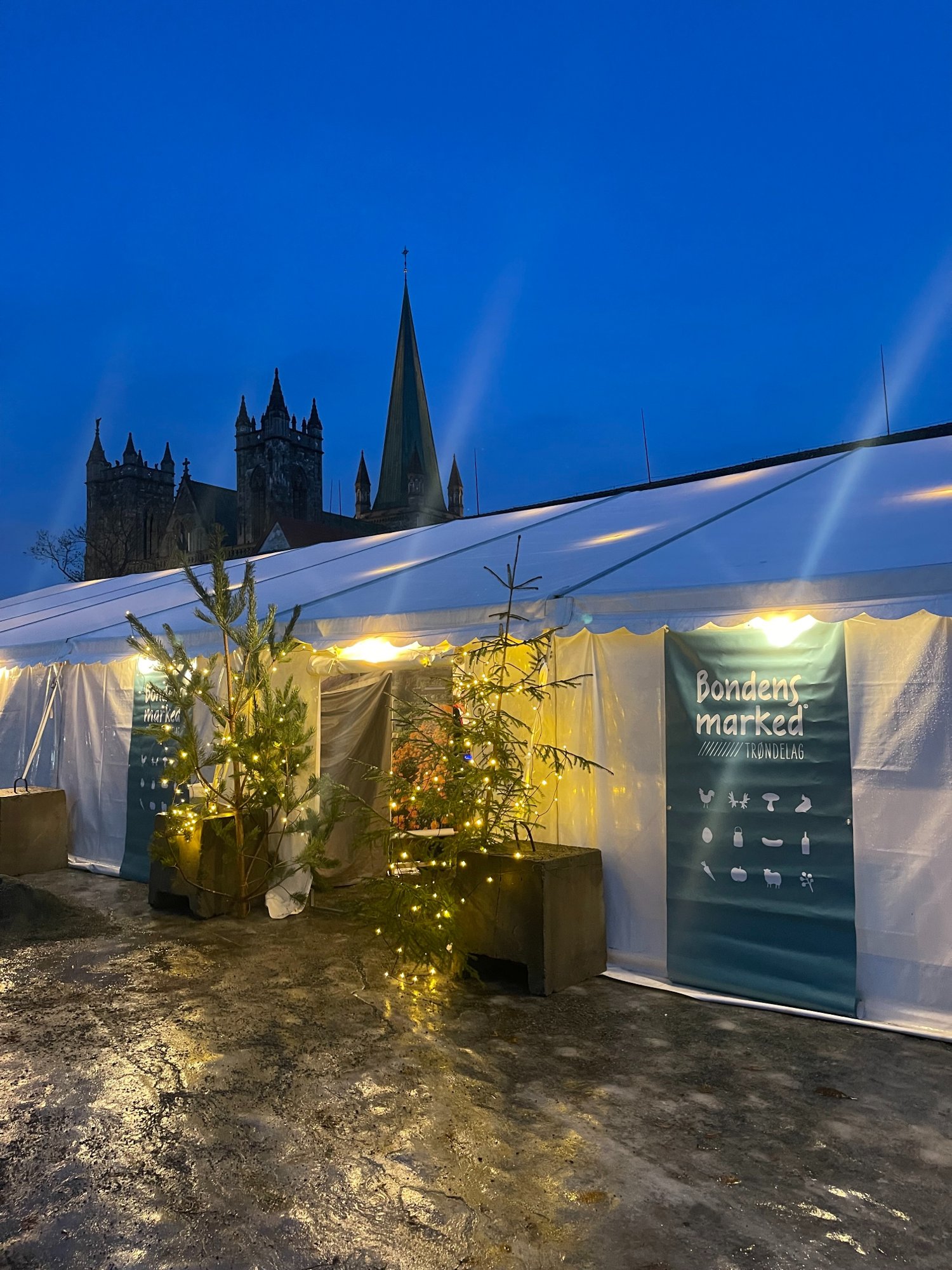 Trakk seg fra julemarked på grunn av lite lokalmatfokus: – For mye sirkus