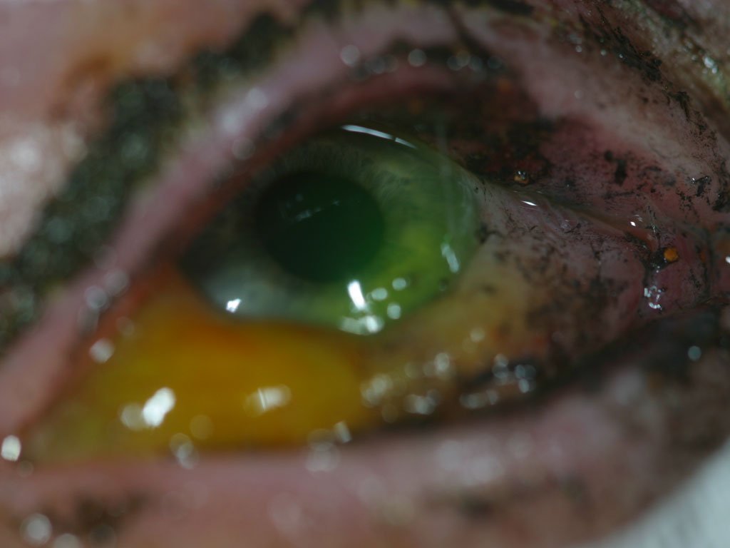 Ti personer fikk øyeskader fra fyrverkeri – ber om forbud