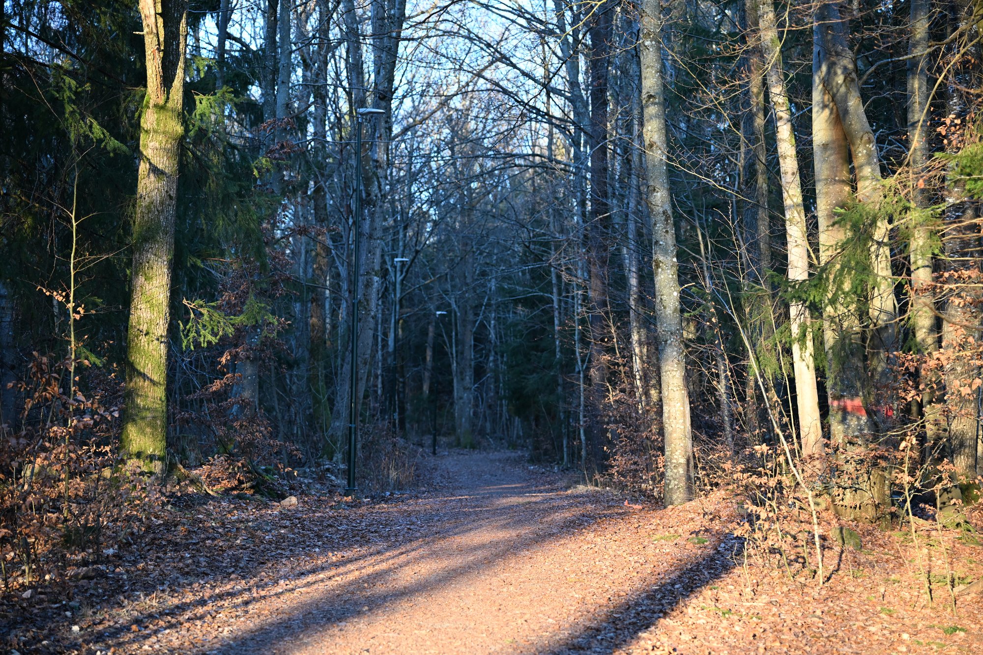 Lysløypa har vært mørklagt i over to måneder: – Hadde ikke budsjett