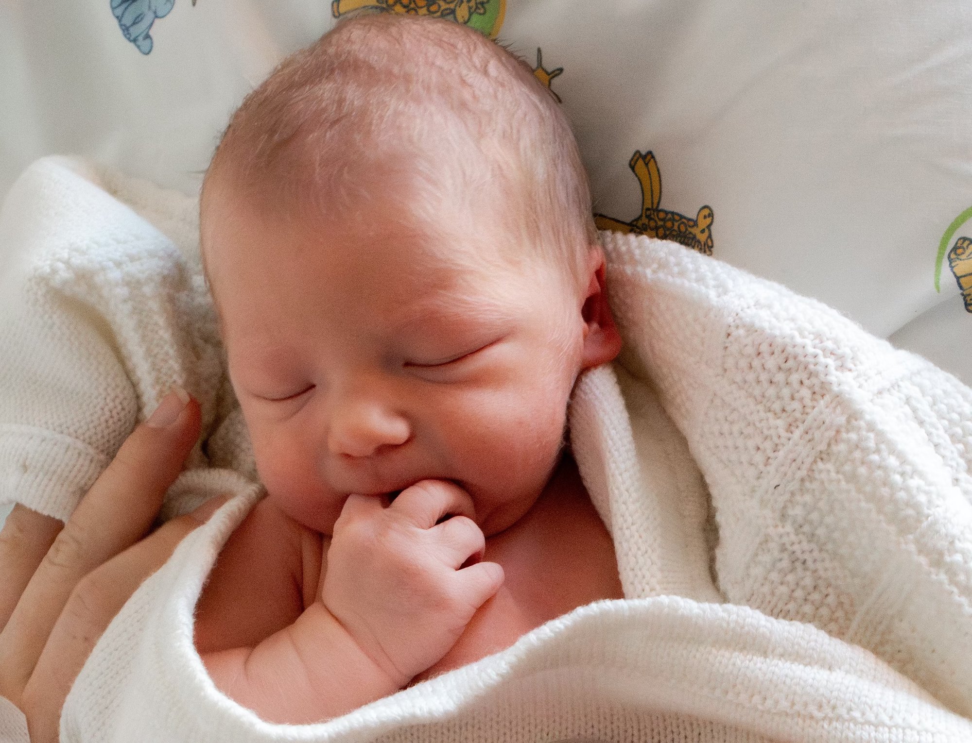 Philias ble årets nyttårsbaby i Vestfold: – Hjertene våre sprekker av glede