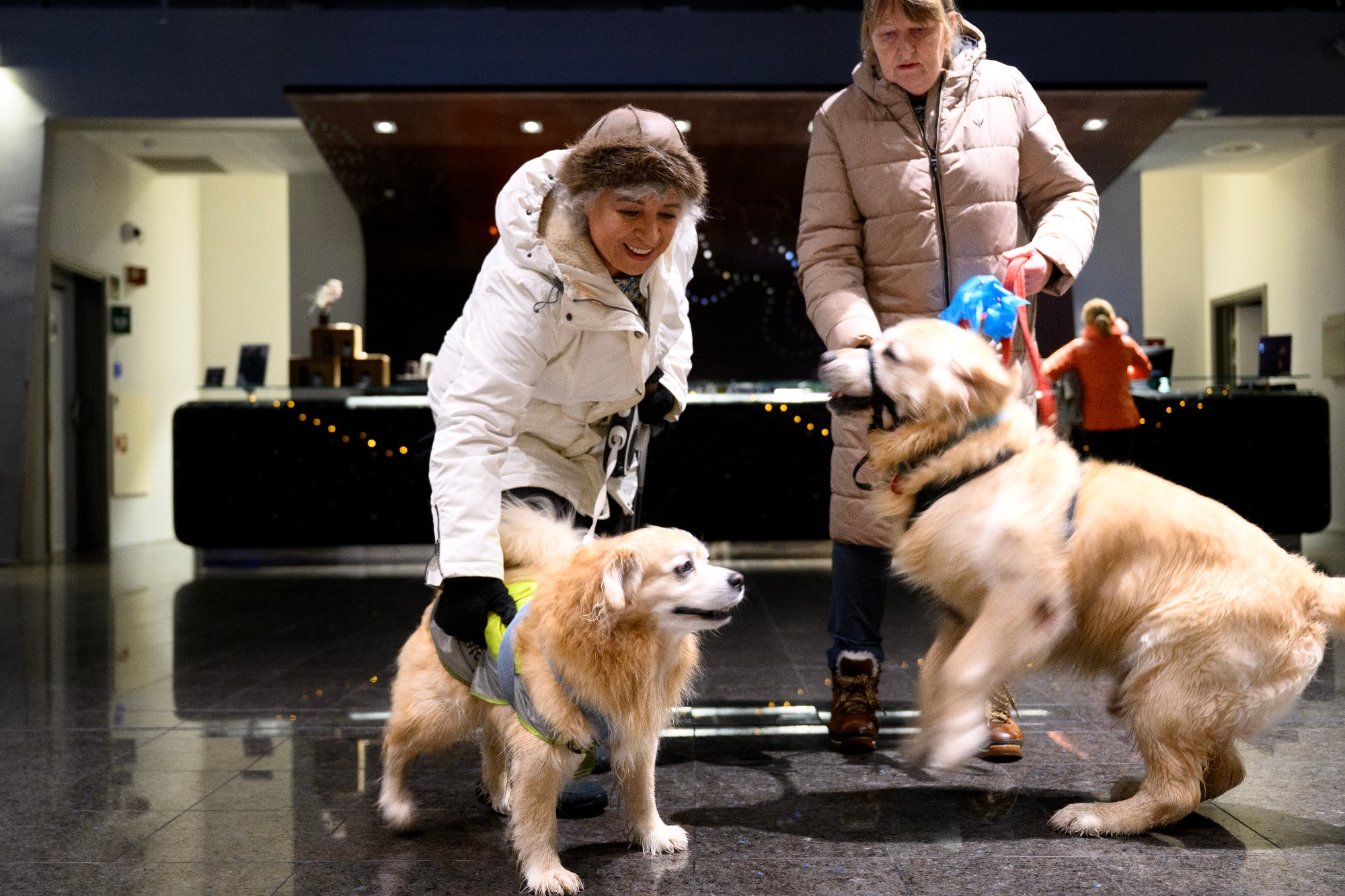 Søker tilflukt på hotell: – De er gode tjommier