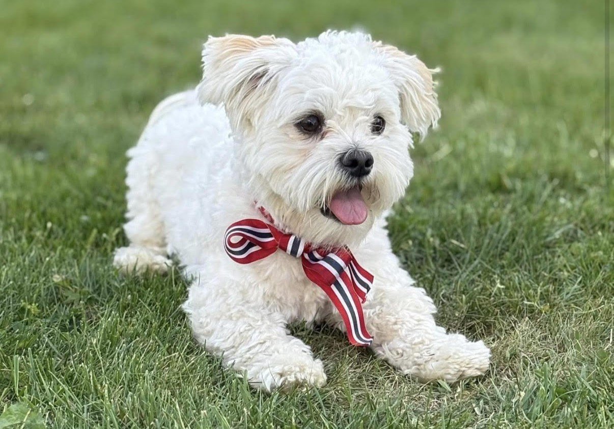 Har vært borte i snart ett døgn: – Helt sykt hvor mange som ønsker å bidra