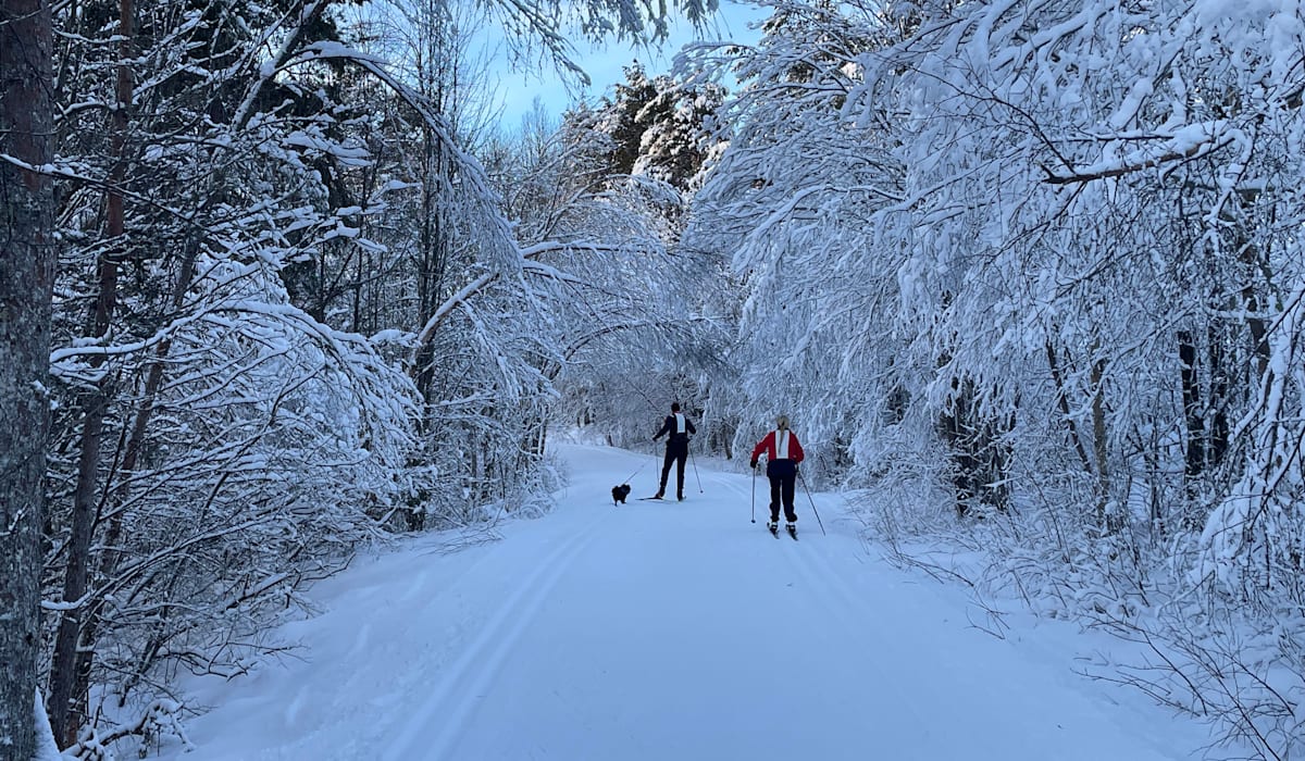 Skifolket jubler – her finner du nykjørte spor