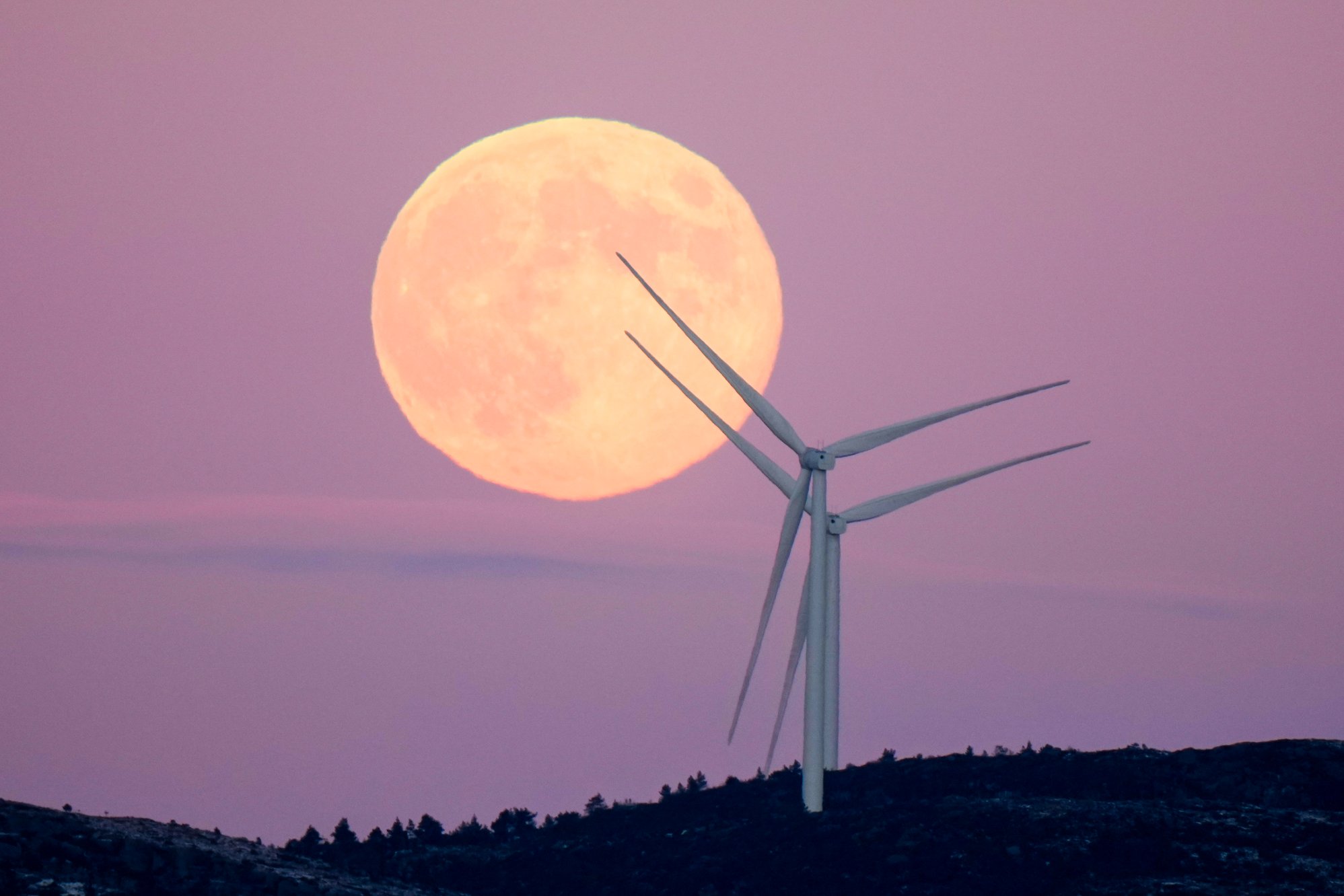 2026 blir et spektakulært himmelår – starter allerede i dag