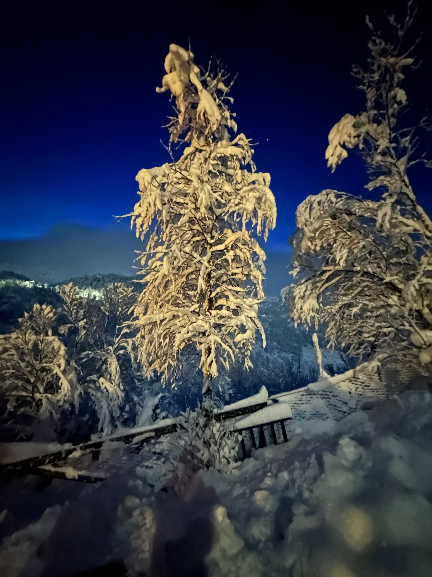 Kaldt og vakkert - Sjå lesarane sine vinterbilde 