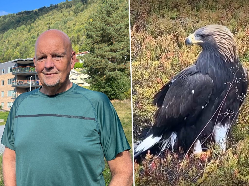 Angrepet er blitt dokumentar: – Hadde ikkje sett dette føre meg