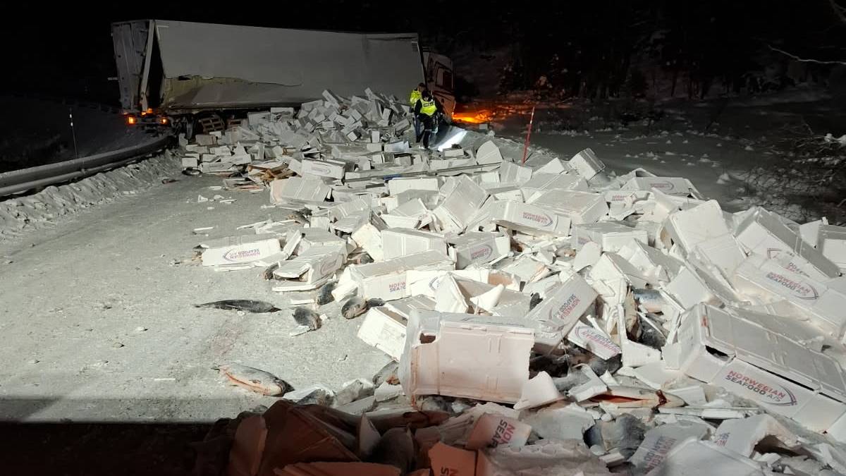 Fylkesveg stengd etter at semitrailer velta – 19 tonn fisk ligg i vegbanen