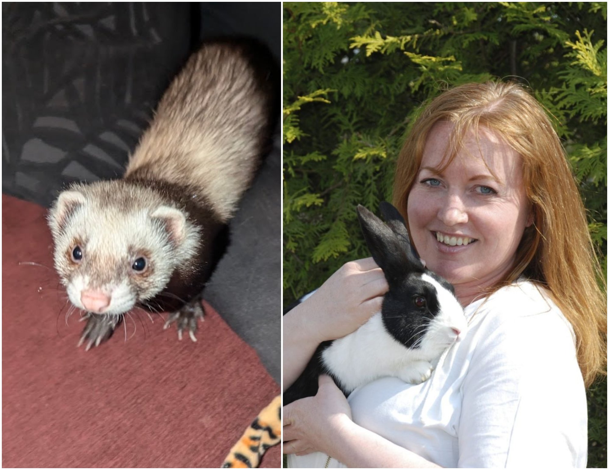 Mistenker at Rigmor fra Røa ble kastet ut: – Ikke egnet for familier med barn