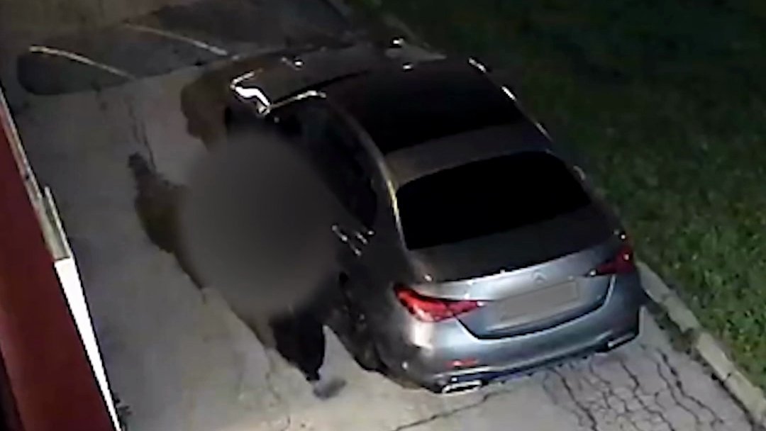 Her riper hun opp bilen