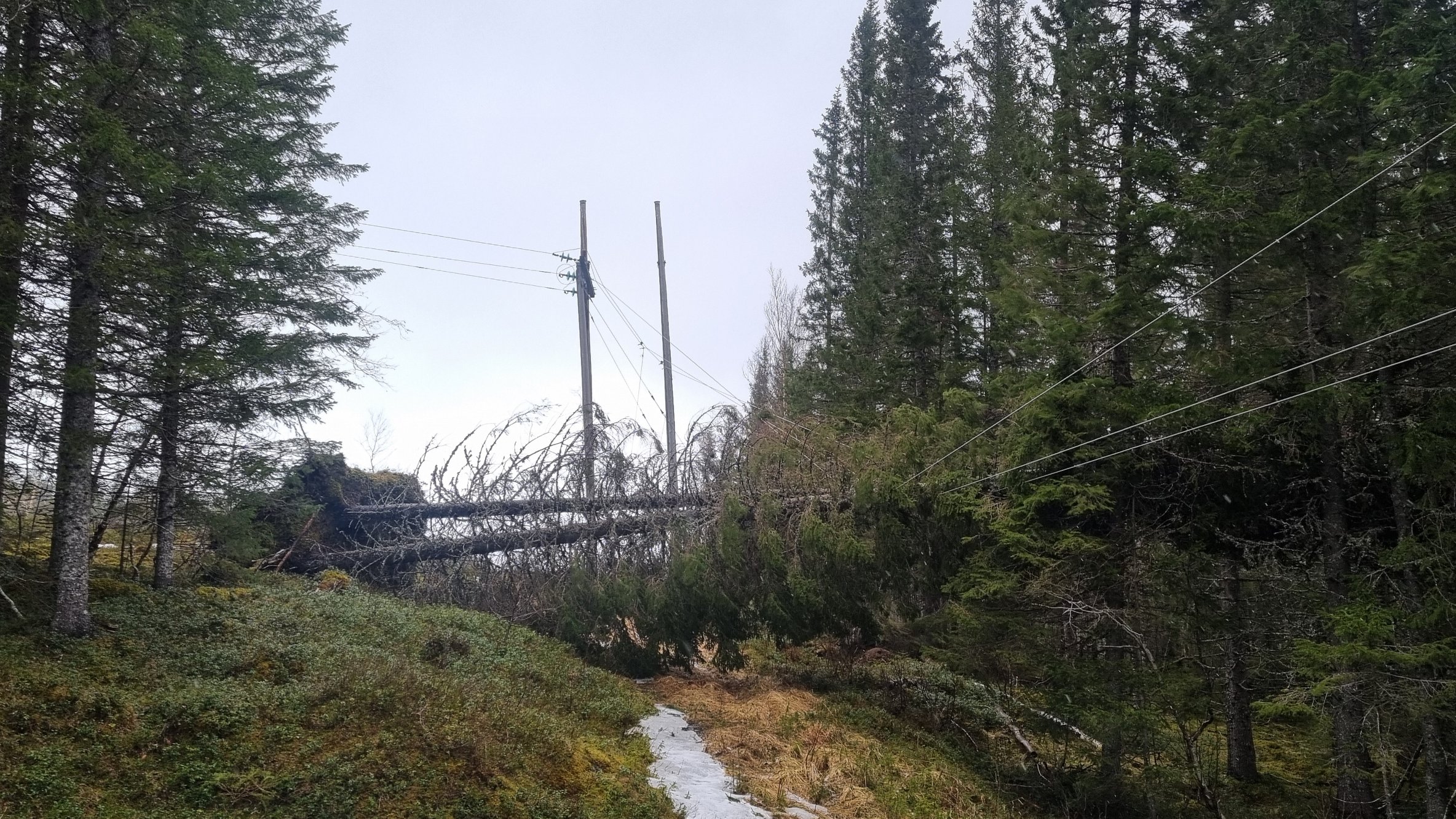 Det vil nå helst gå bra, eller?