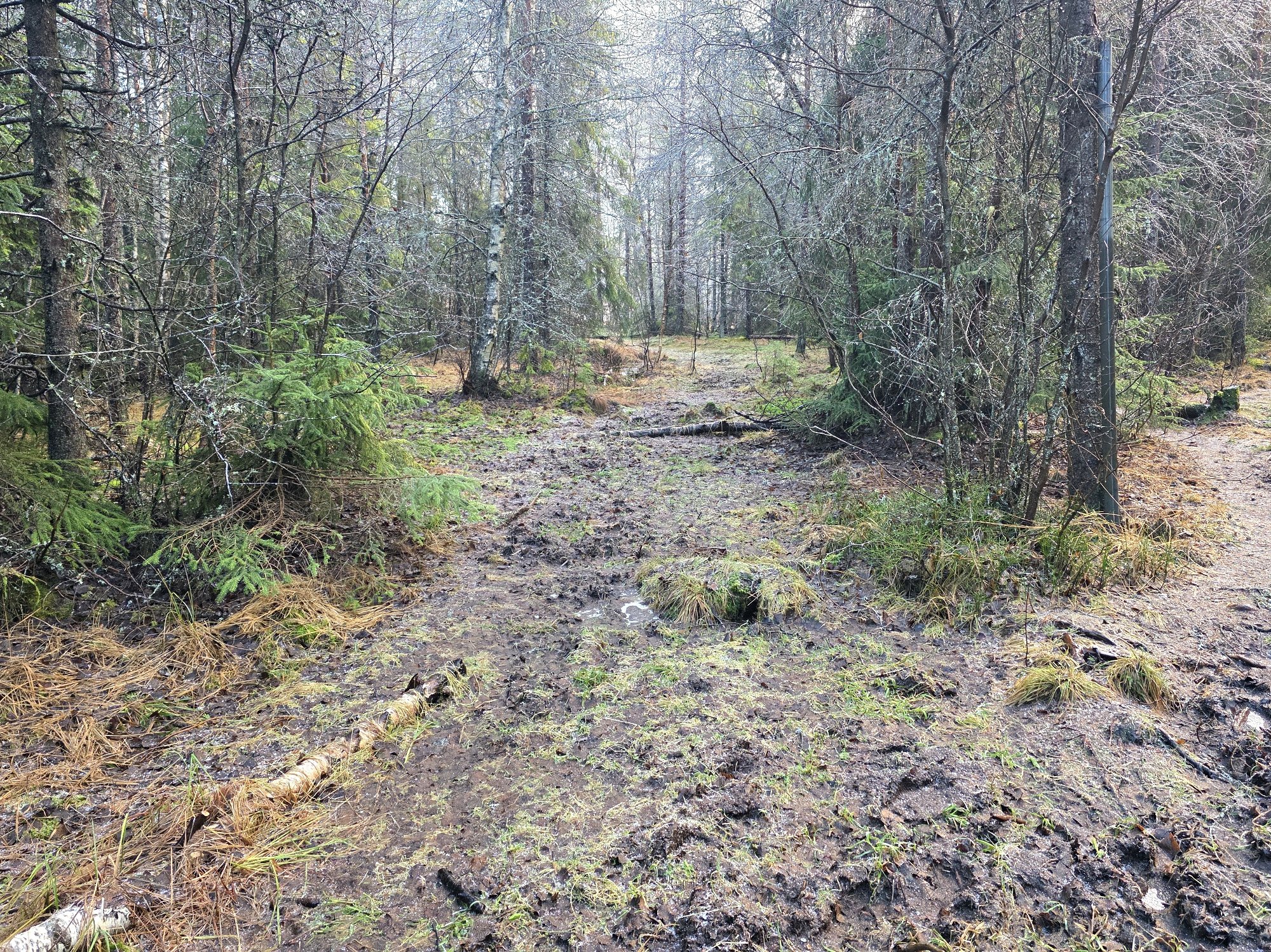 Får en halv million til stort prosjekt i Kjekstadmarka