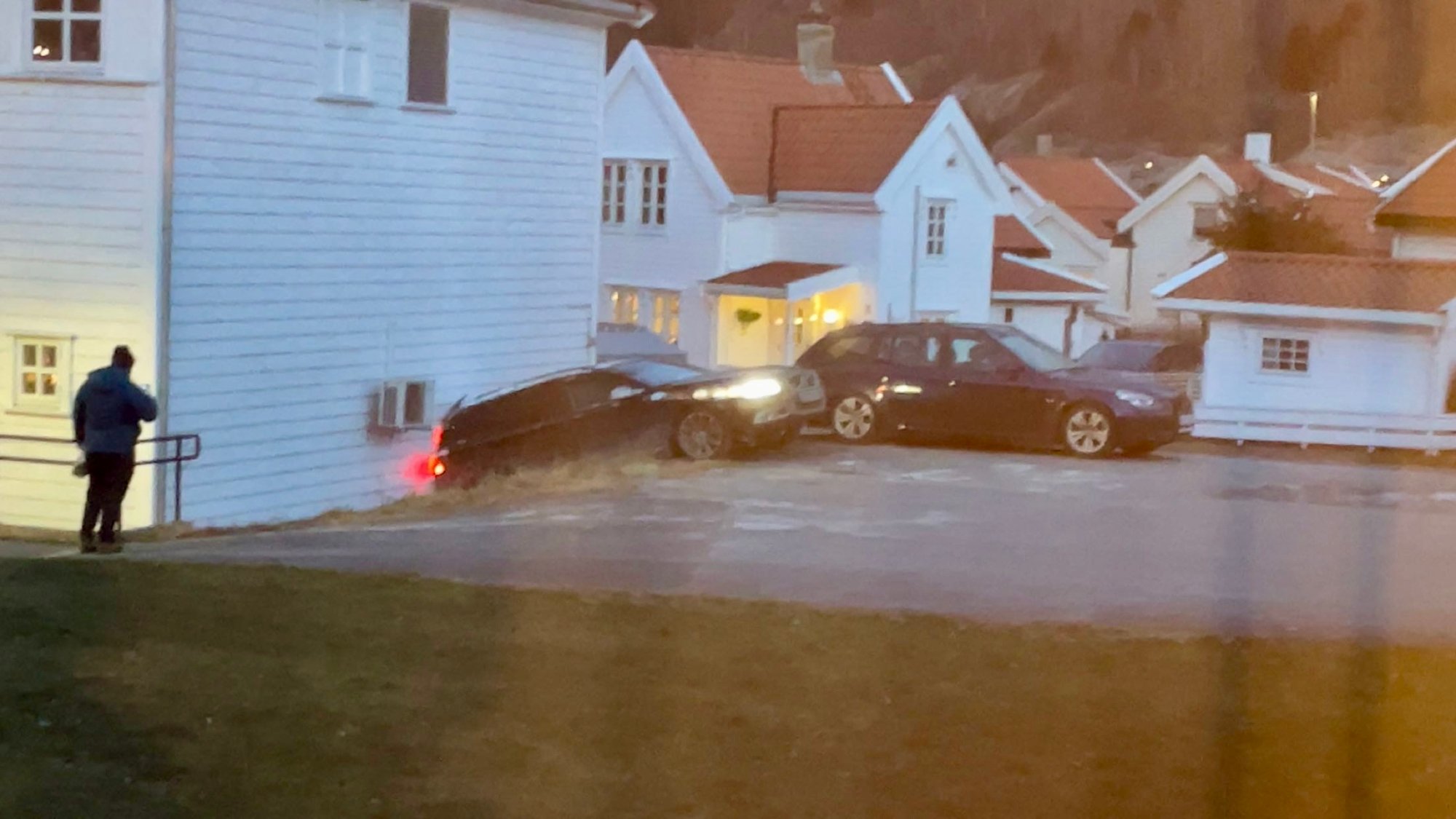 Fann bilen planta i husveggen