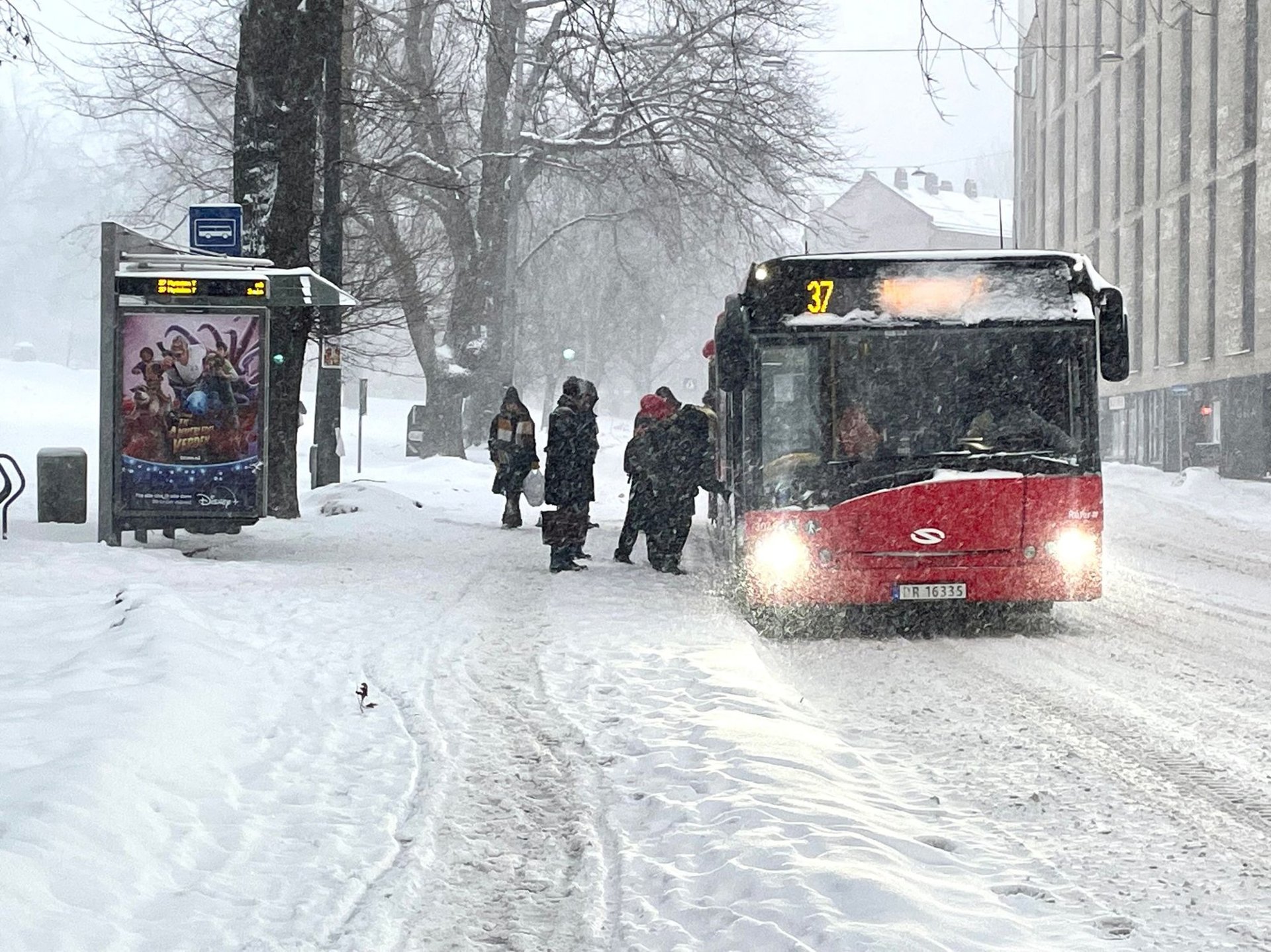Setter opp prisen for månedskortet