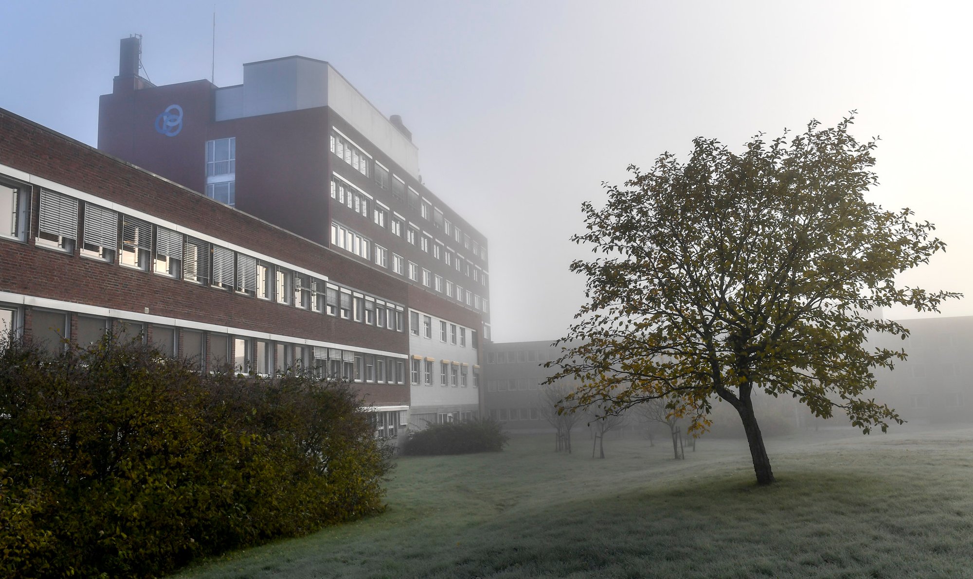 Pasient oppdaget at bekjent sykepleier snoket ulovlig i «svært personlige forhold» - Helgelandssykehuset beklager på det sterkeste. Statsforvalteren starter tilsyn