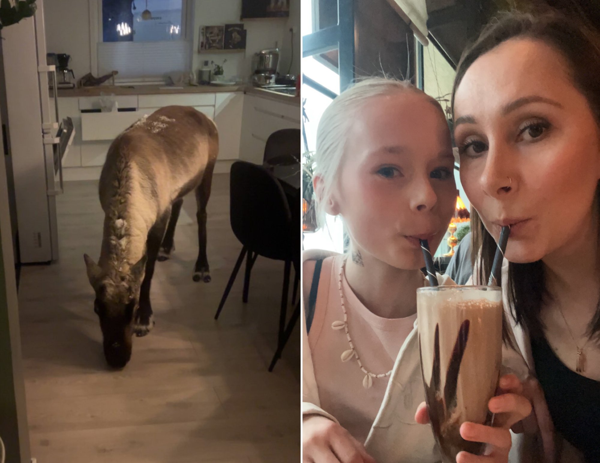 Thea (13) fikk uventet besøk etter skolen: – Jeg begynte å filme og hyle