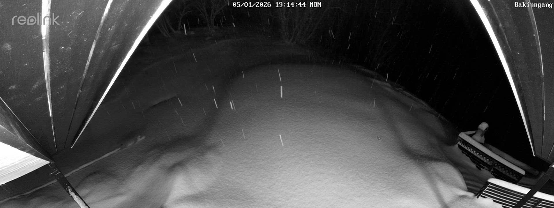 Ronny fra Harstad fikk uventet besøk på hytta: – Det var spesielt