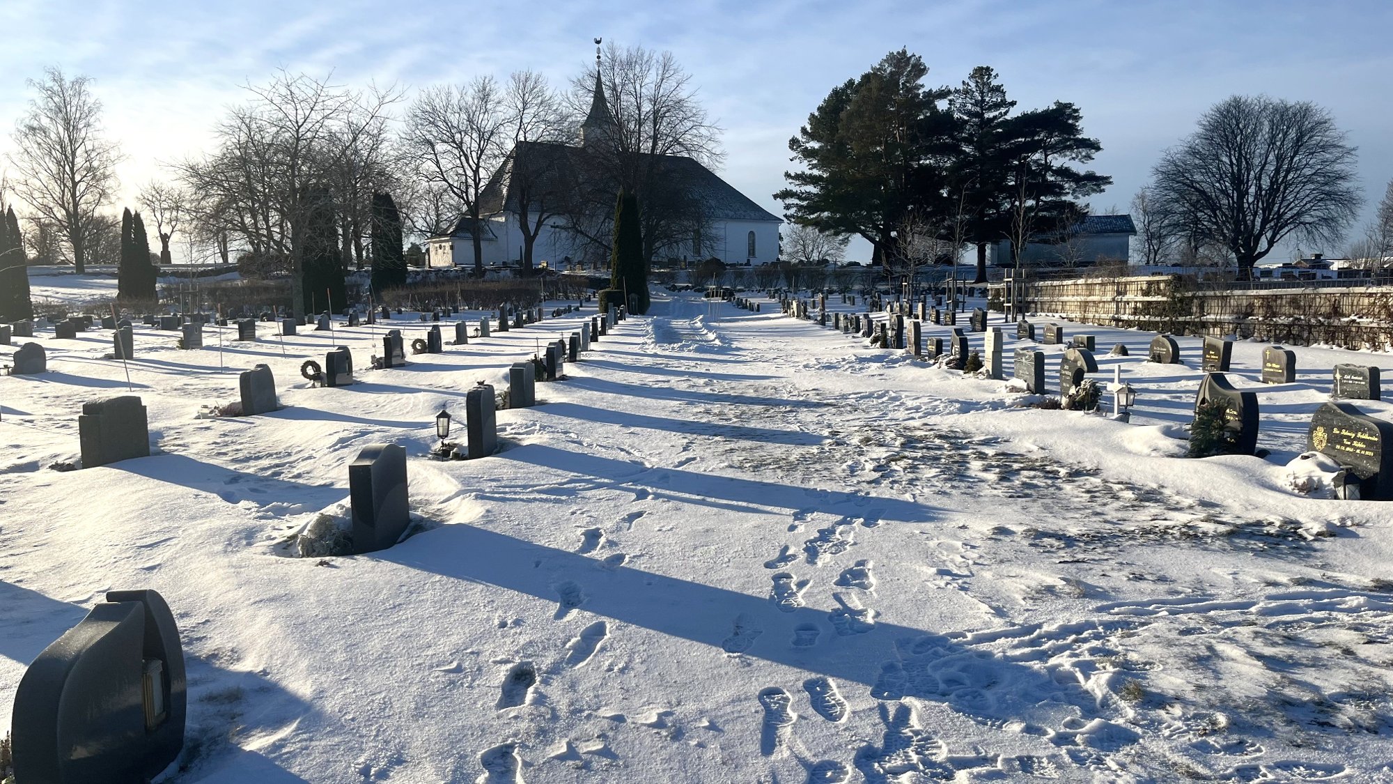 Reagerer på løshunder på kirkegårder: – Dette er respektløst og ikke lov