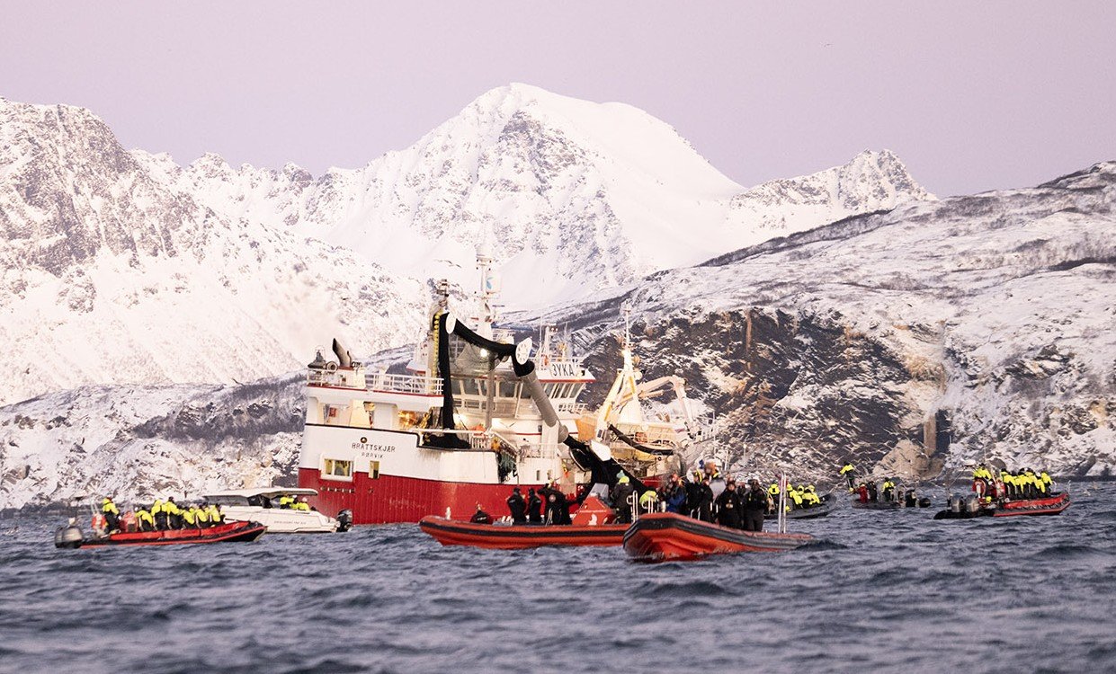 Flokker seg rundt fiskebåten: – Drevet av grådighet