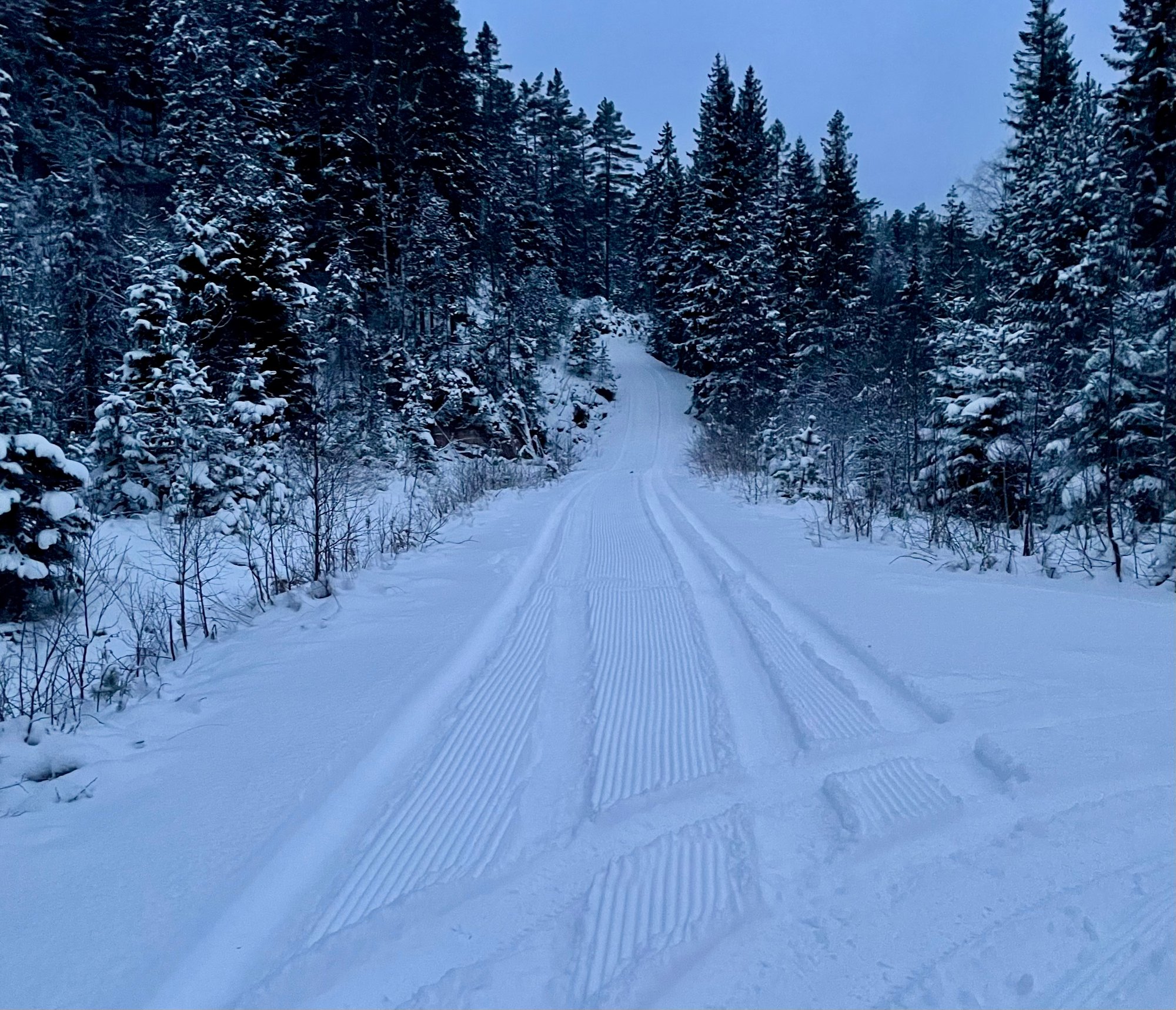 Slik er forholdene i Svelvikmarka: – De ivrigste kan gå