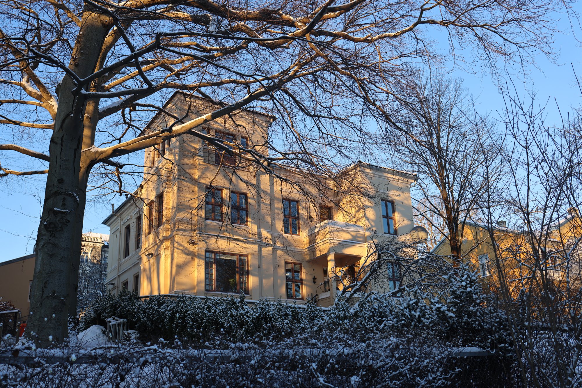 Flytter fra knøttlite Torshov-lokale til Frogner-villa på 900 kvadrat: – Jeg gråt