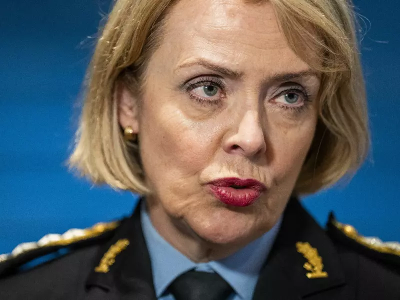 Rekordmye hasj beslaglagt av tollerne i fjor