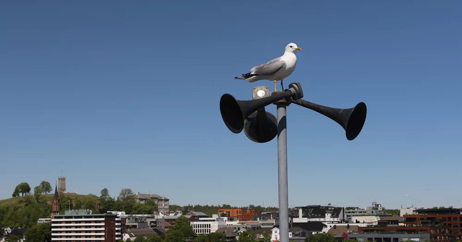 Mobilen din vil ule klokka 12 – dette må du vite