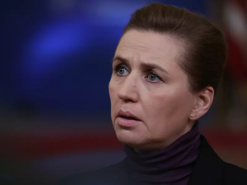 Mette Frederiksen: Danmark har bedt Nato om permanent tilstedeværelse i Arktis