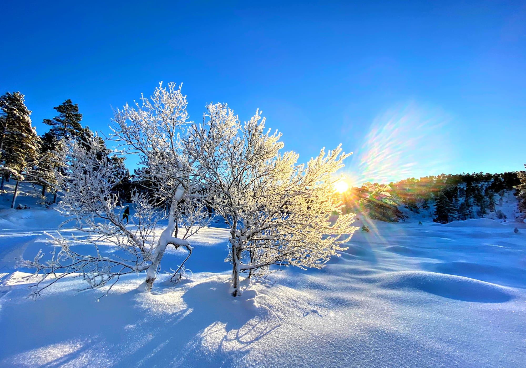 NRK: 20 personer pågrepet i en politiaksjon mot nettovergrep mot barn